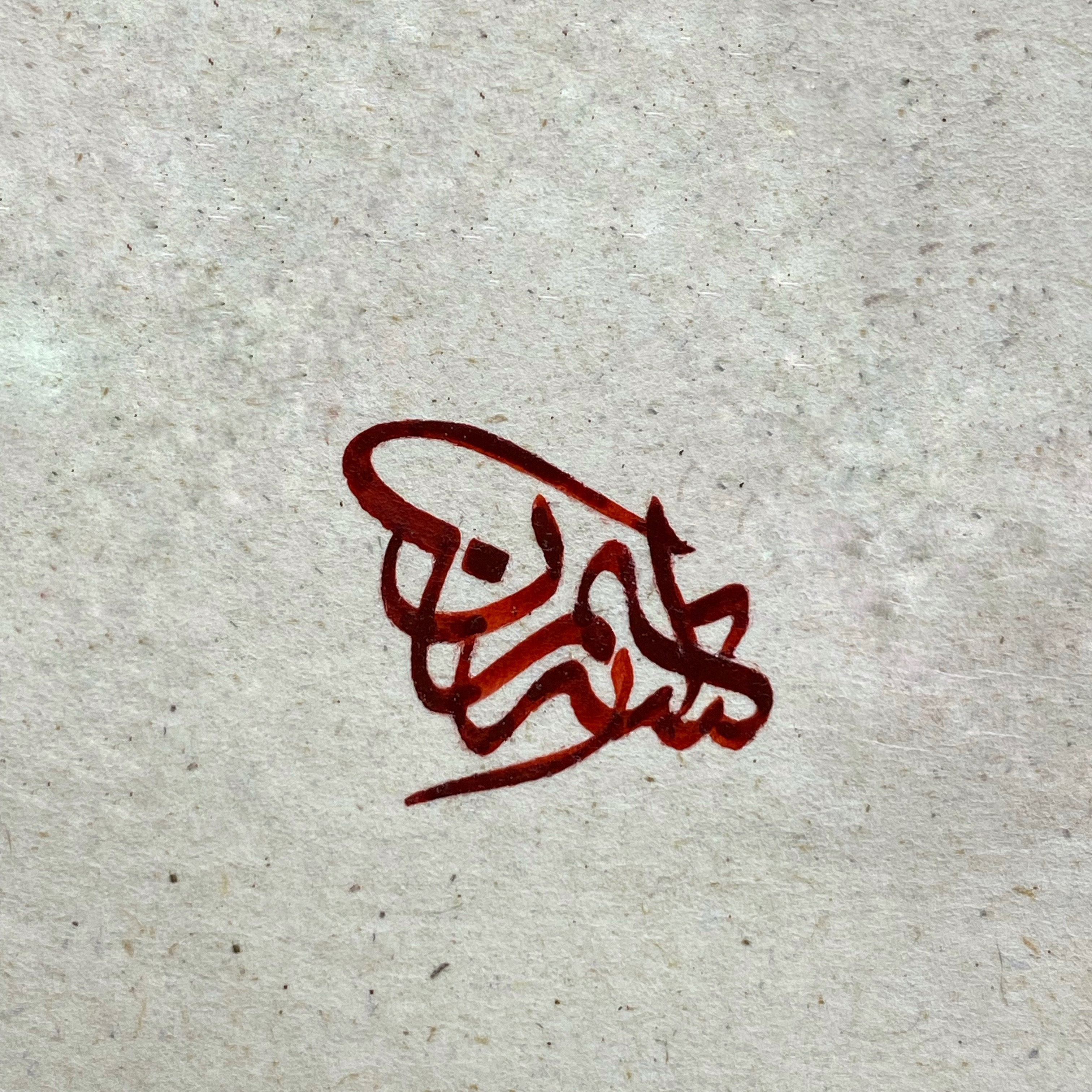 أيمن الخضراء 